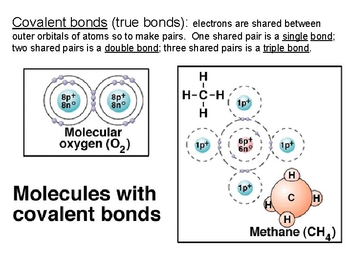Covalent bonds (true bonds): electrons are shared between outer orbitals of atoms so to