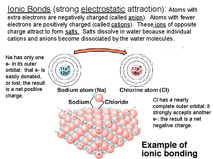 Ionic Bonds (strong electrostatic attraction): Atoms with extra electrons are negatively charged (called anion).