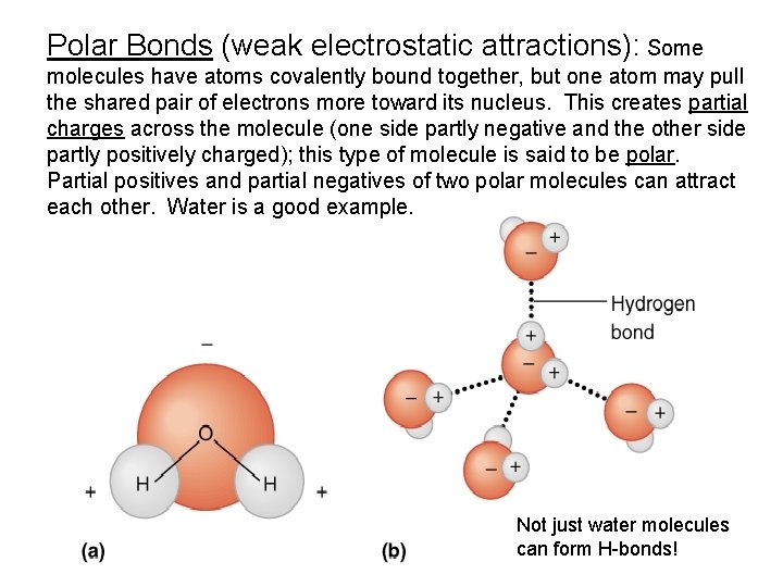 Polar Bonds (weak electrostatic attractions): Some molecules have atoms covalently bound together, but one
