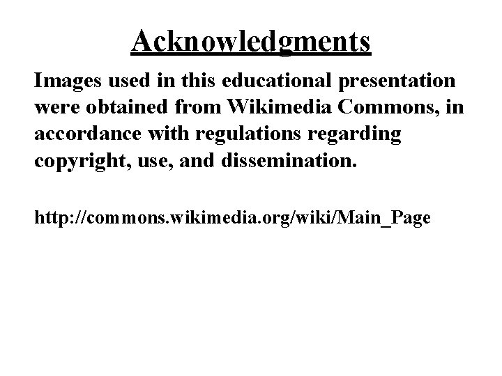 Acknowledgments Images used in this educational presentation were obtained from Wikimedia Commons, in accordance