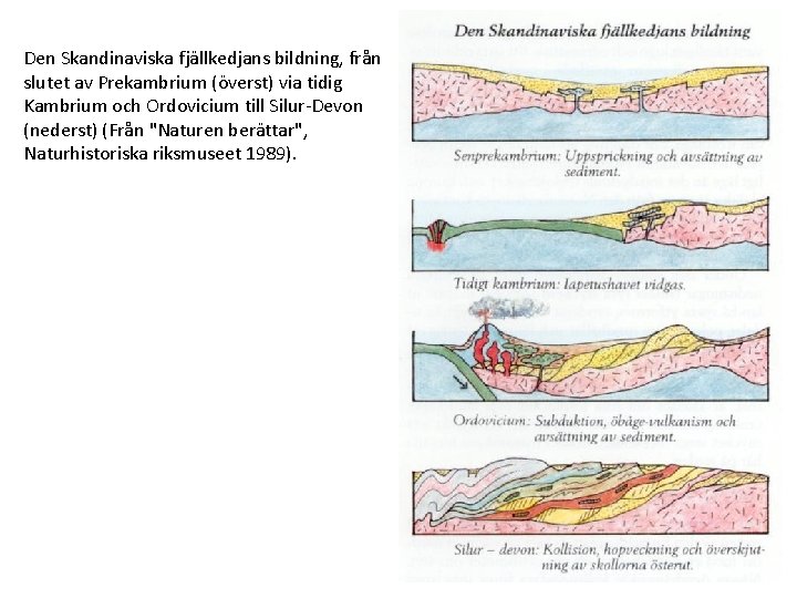 Den Skandinaviska fjällkedjans bildning, från slutet av Prekambrium (överst) via tidig Kambrium och Ordovicium