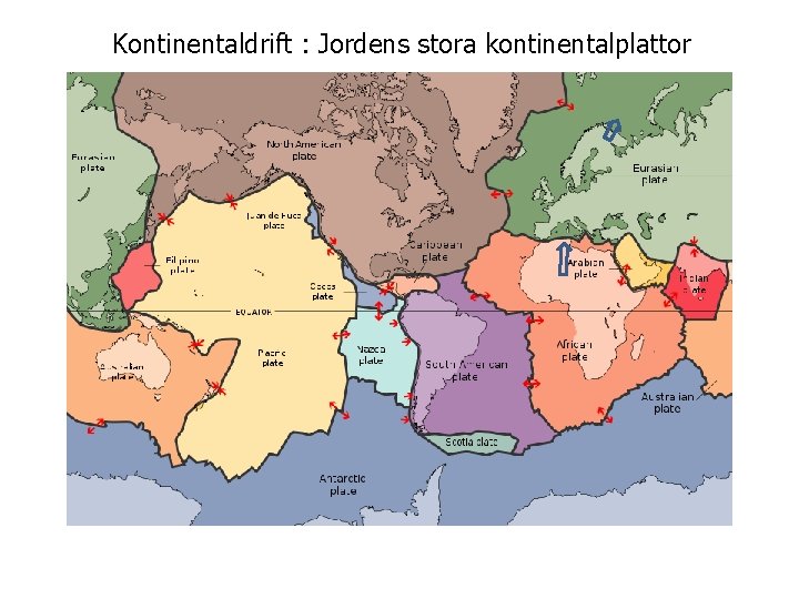 Kontinentaldrift : Jordens stora kontinentalplattor 