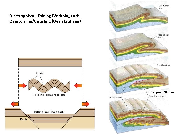 Diastrophism : Folding (Veckning) och Overturning/thrusting (Överskjutning) Nappes = Skollor 