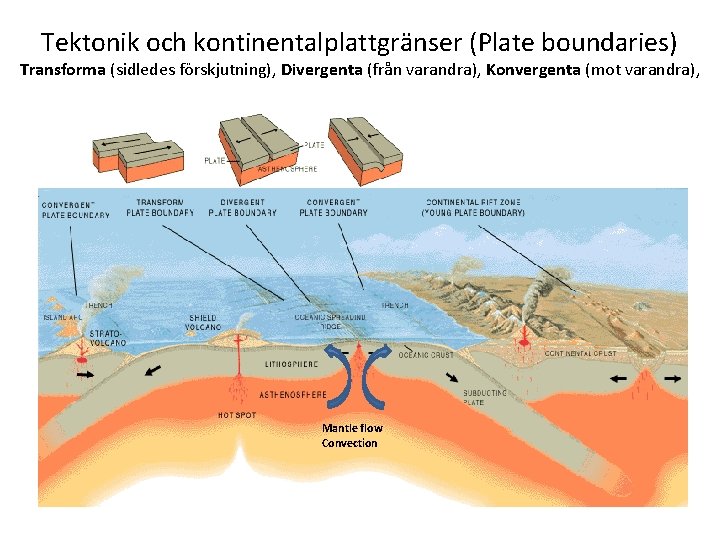 Tektonik och kontinentalplattgränser (Plate boundaries) Transforma (sidledes förskjutning), Divergenta (från varandra), Konvergenta (mot varandra),