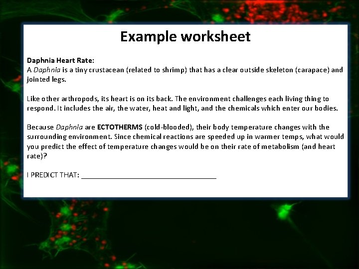 Example worksheet Daphnia Heart Rate: A Daphnia is a tiny crustacean (related to shrimp)