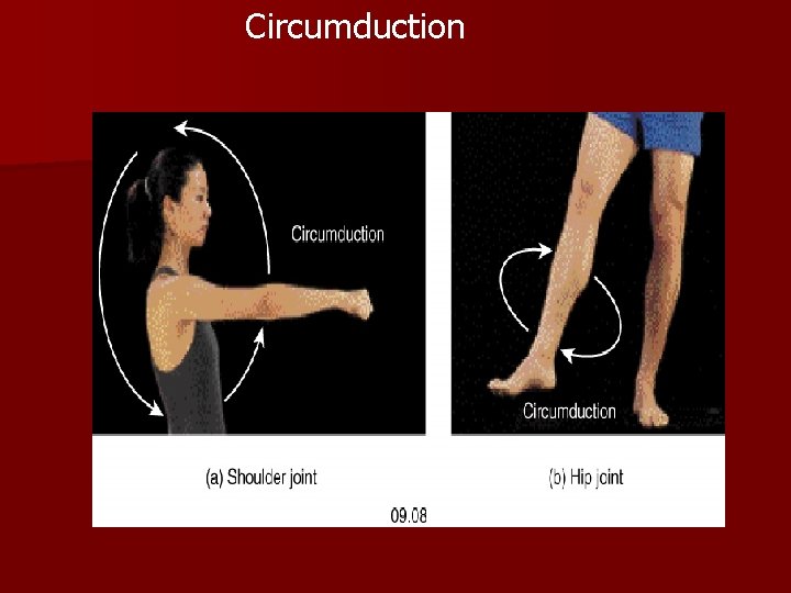 Circumduction 