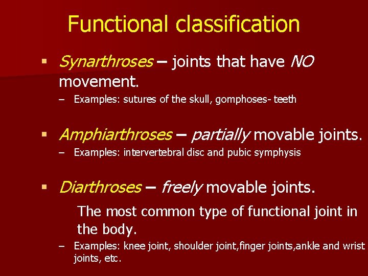 Functional classification § Synarthroses – joints that have NO movement. – Examples: sutures of