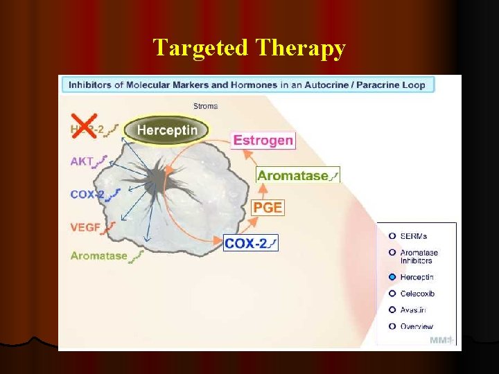 Targeted Therapy 
