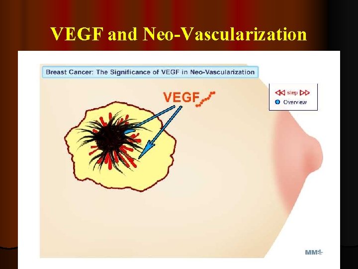 VEGF and Neo-Vascularization 
