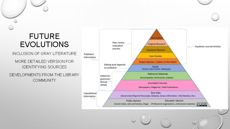 FUTURE EVOLUTIONS INCLUSION OF GRAY LITERATURE MORE DETAILED VERSION FOR IDENTIFYING SOURCES DEVELOPMENTS FROM