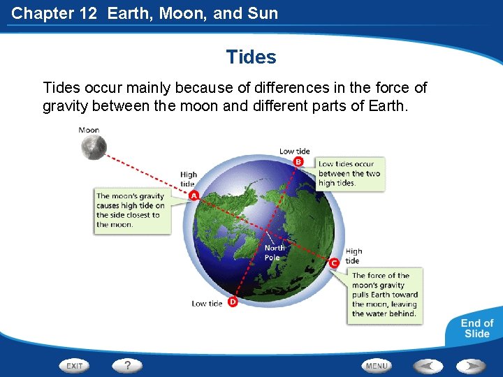 Chapter 12 Earth, Moon, and Sun Tides occur mainly because of differences in the