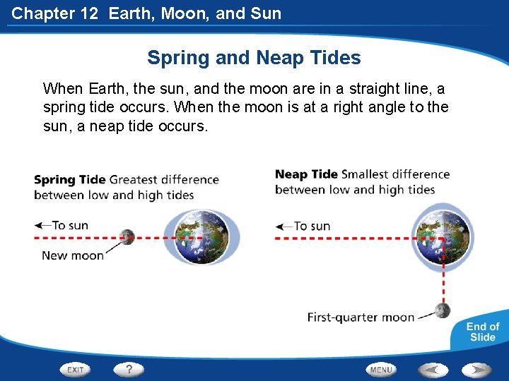 Chapter 12 Earth, Moon, and Sun Spring and Neap Tides When Earth, the sun,