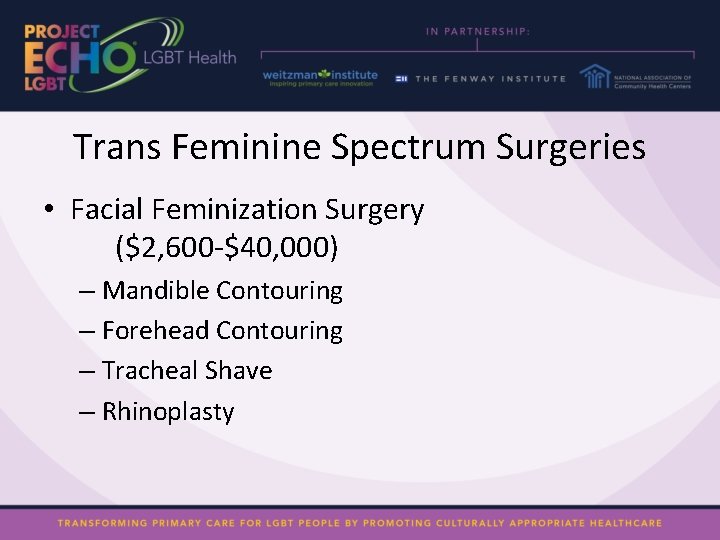 Trans Feminine Spectrum Surgeries • Facial Feminization Surgery ($2, 600 -$40, 000) – Mandible