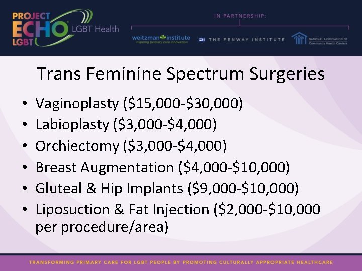 Trans Feminine Spectrum Surgeries • • • Vaginoplasty ($15, 000 -$30, 000) Labioplasty ($3,
