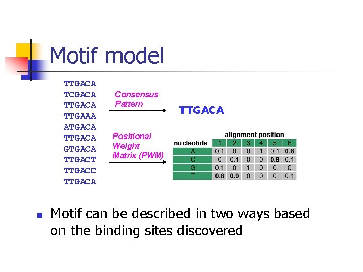Motif model TTGACA TCGACA TTGAAA ATGACA TTGACA GTGACA TTGACT TTGACC TTGACA n Consensus Pattern