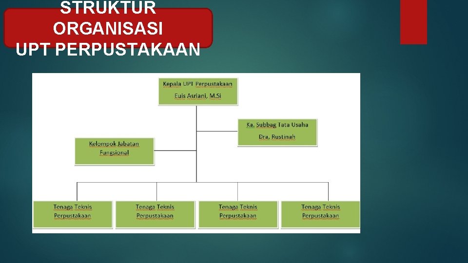 STRUKTUR ORGANISASI UPT PERPUSTAKAAN 