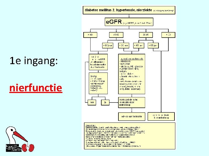 1 e ingang: nierfunctie 