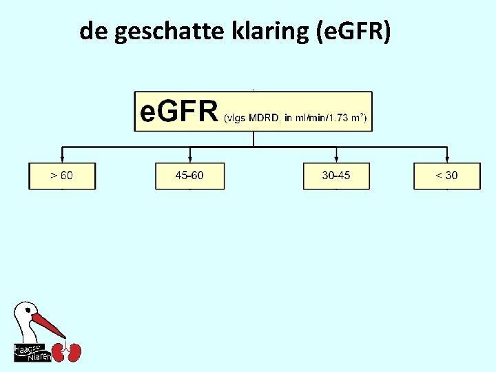 de geschatte klaring (e. GFR) 