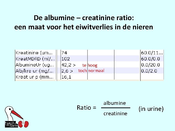 De albumine – creatinine ratio: een maat voor het eiwitverlies in de nieren te