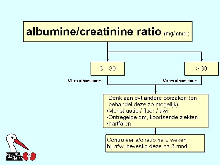 Micro-albuminurie Macro-albuminurie 