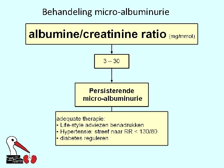 Behandeling micro-albuminurie 