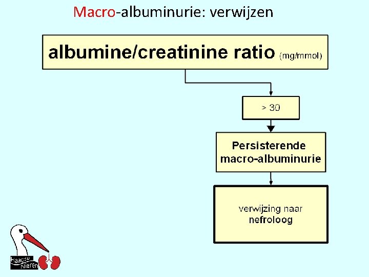 Macro-albuminurie: verwijzen 