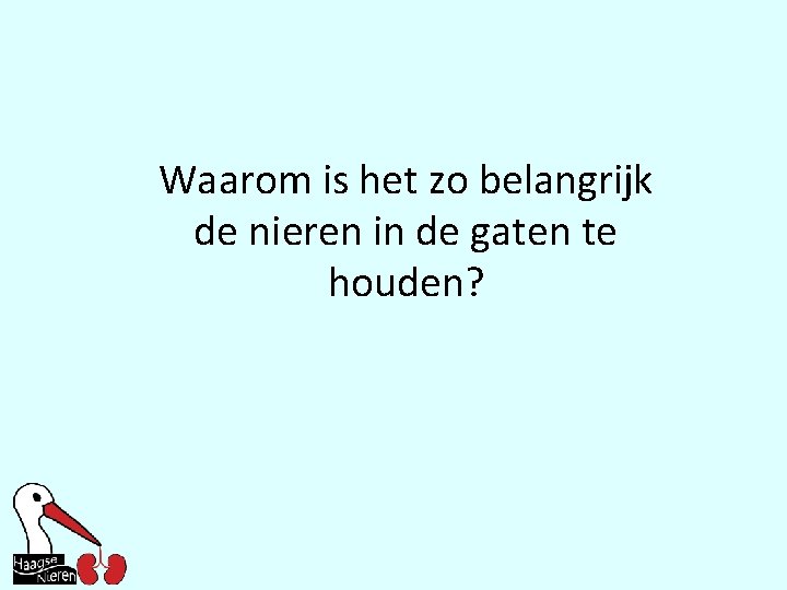 Waarom is het zo belangrijk de nieren in de gaten te houden? 