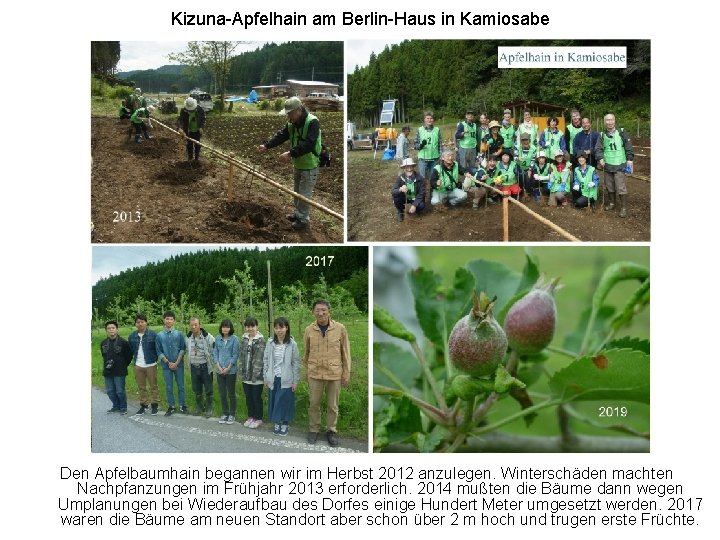 Kizuna-Apfelhain am Berlin-Haus in Kamiosabe Den Apfelbaumhain begannen wir im Herbst 2012 anzulegen. Winterschäden