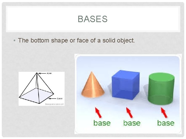 BASES • The bottom shape or face of a solid object. 