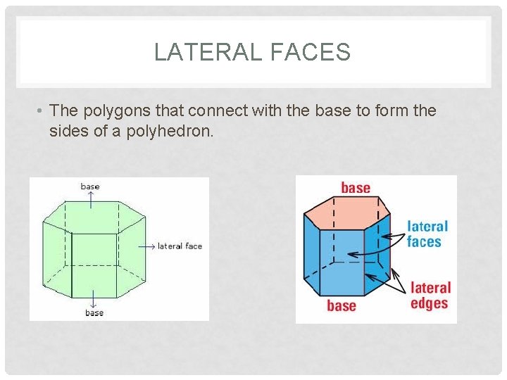 LATERAL FACES • The polygons that connect with the base to form the sides