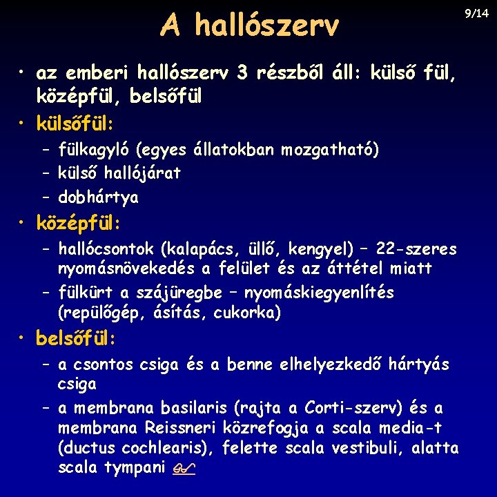 A hallószerv • az emberi hallószerv 3 részből áll: külső fül, középfül, belsőfül •