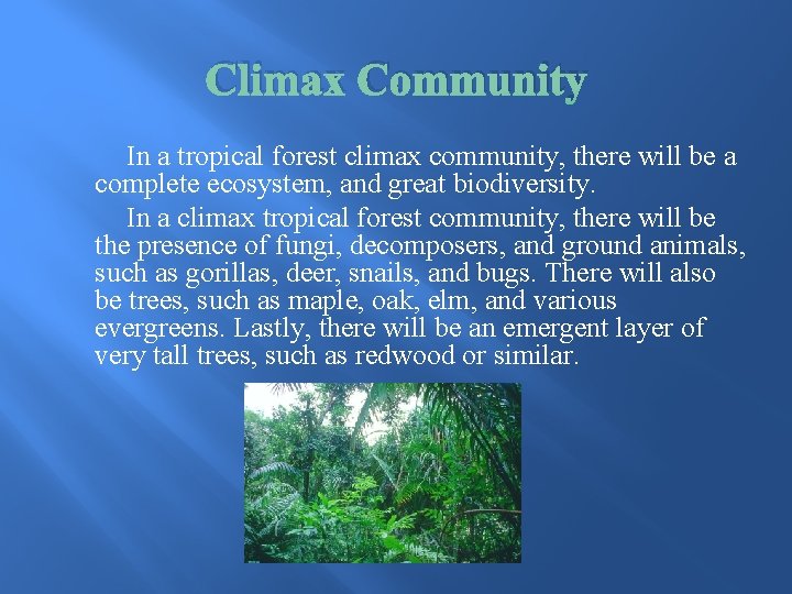 Climax Community In a tropical forest climax community, there will be a complete ecosystem,