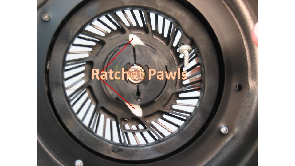 Ratchet Pawls 