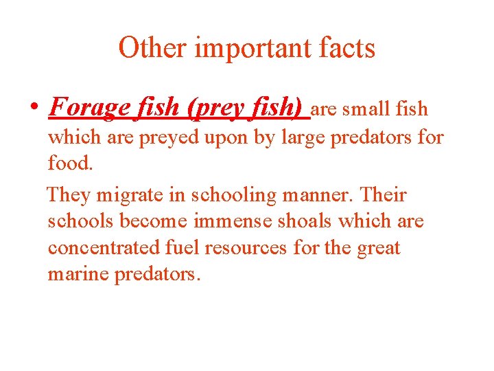 Other important facts • Forage fish (prey fish) are small fish which are preyed