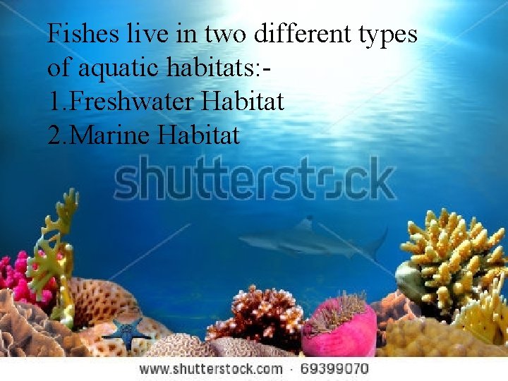 Fishes live in two different types of aquatic habitats: 1. Freshwater Habitat 2. Marine