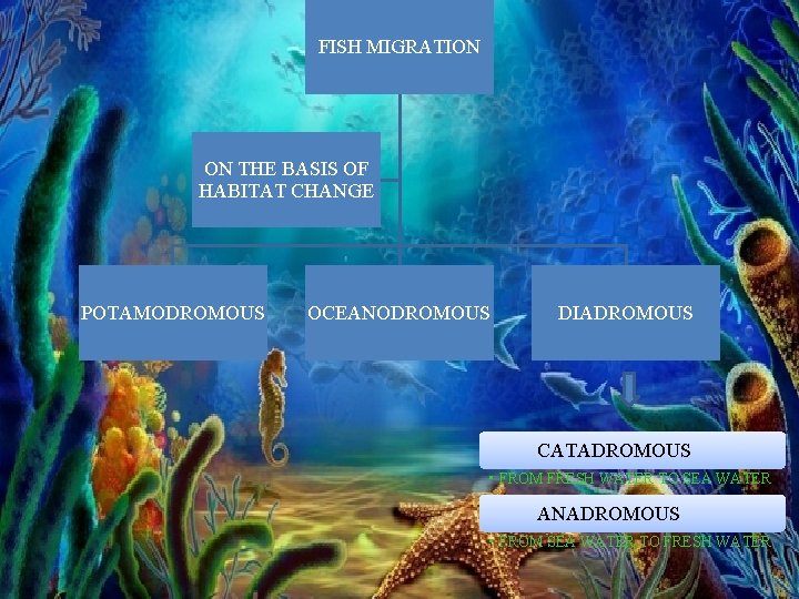 FISH MIGRATION ON THE BASIS OF HABITAT CHANGE POTAMODROMOUS OCEANODROMOUS DIADROMOUS CATADROMOUS • FROM