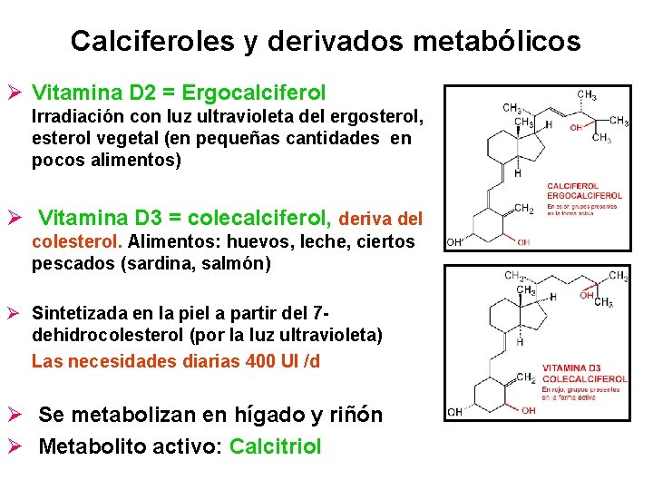 Calciferoles y derivados metabólicos Ø Vitamina D 2 = Ergocalciferol Irradiación con luz ultravioleta