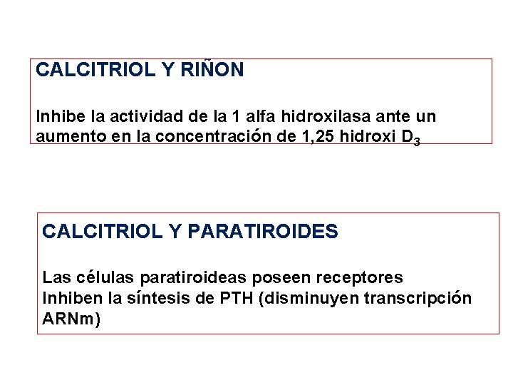 CALCITRIOL Y RIÑON Inhibe la actividad de la 1 alfa hidroxilasa ante un aumento