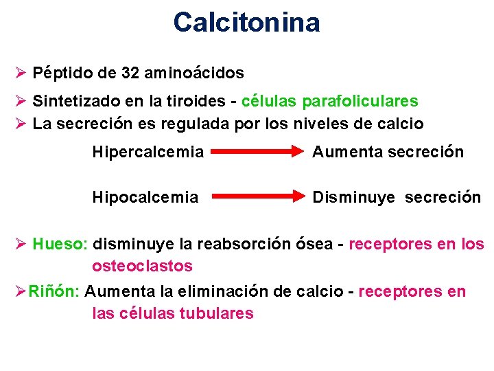 Calcitonina Ø Péptido de 32 aminoácidos Ø Sintetizado en la tiroides - células parafoliculares