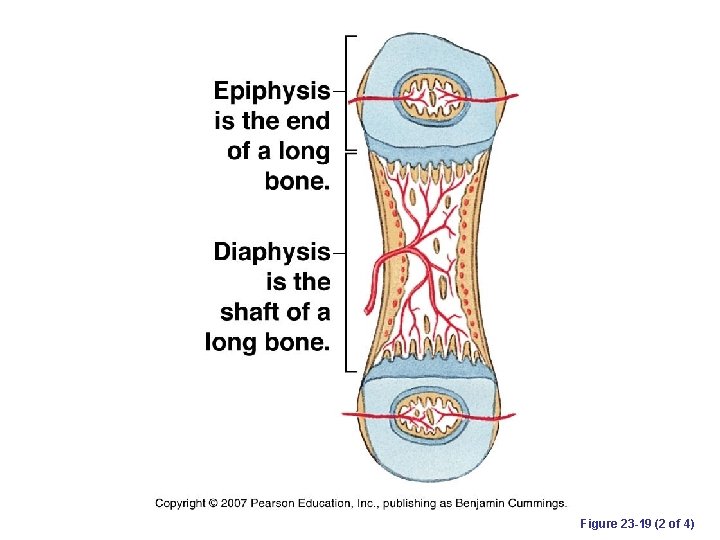 Figure 23 -19 (2 of 4) 