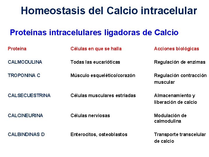 Homeostasis del Calcio intracelular Proteínas intracelulares ligadoras de Calcio Proteína Células en que se