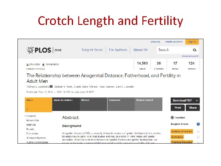 Crotch Length and Fertility 