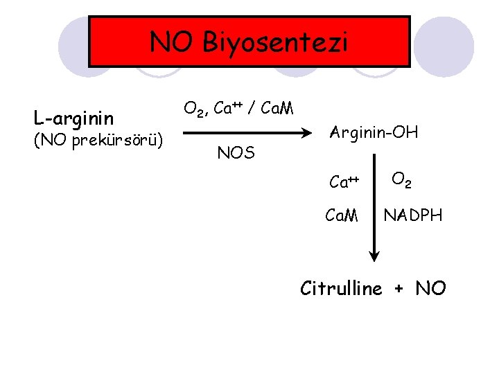 NO Biyosentezi L-arginin (NO prekürsörü) O 2, Ca++ / Ca. M NOS Arginin-OH Ca++