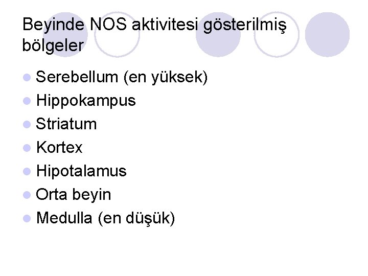 Beyinde NOS aktivitesi gösterilmiş bölgeler l Serebellum (en yüksek) l Hippokampus l Striatum l