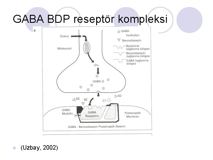 GABA BDP reseptör kompleksi l (Uzbay, 2002) 
