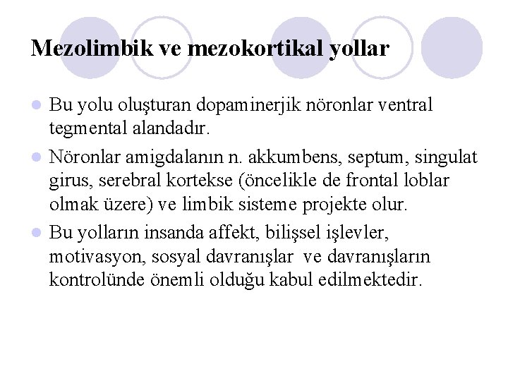 Mezolimbik ve mezokortikal yollar Bu yolu oluşturan dopaminerjik nöronlar ventral tegmental alandadır. l Nöronlar