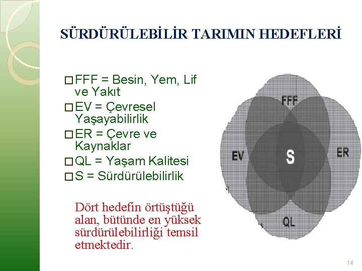 SÜRDÜRÜLEBİLİR TARIMIN HEDEFLERİ � FFF = Besin, Yem, Lif ve Yakıt � EV =