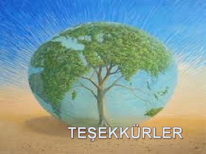 TEŞEKKÜRLER 37 