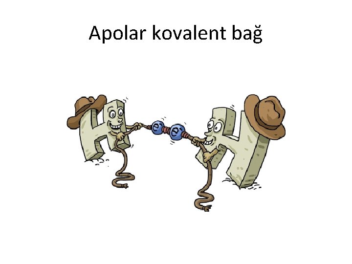 Apolar kovalent bağ 