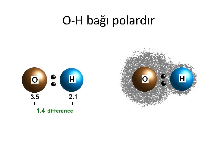 O-H bağı polardır 